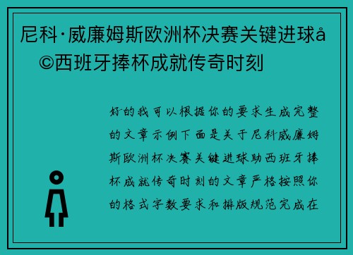 尼科·威廉姆斯欧洲杯决赛关键进球助西班牙捧杯成就传奇时刻