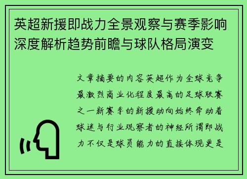 英超新援即战力全景观察与赛季影响深度解析趋势前瞻与球队格局演变